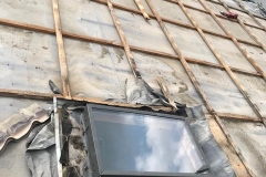 105600089_902949883515516_8924977088508555485_n