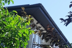 118171151_945931062550731_7491732037240821613_n