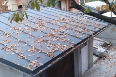 125358530_1015973462213157_8103451126285509919_n