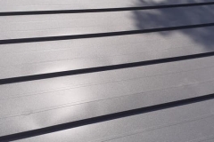 238242773_1190512314759270_6363057482594276248_n