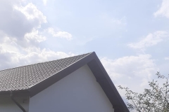 240156589_1196282364182265_6561939941847025678_n