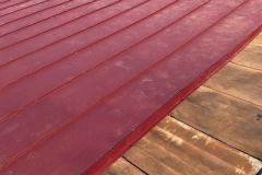 248620151_1239990083144826_7839253506515335381_n