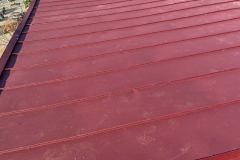 248925600_1239990143144820_1658680476776485097_n