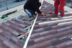 52326914_565268587283649_9199132474091765760_n